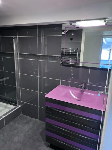 une salle de bain avec un lavabo rose et un miroir dans l'établissement duplex en bord de mer, à Cagnes-sur-Mer