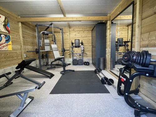 Fitness centrum a/nebo fitness zařízení v ubytování Villa Gentbos