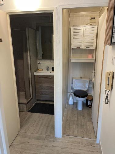 une salle de bain avec toilettes et lavabo dans l'établissement Fréjus plage appartement La Miougrano, à Fréjus