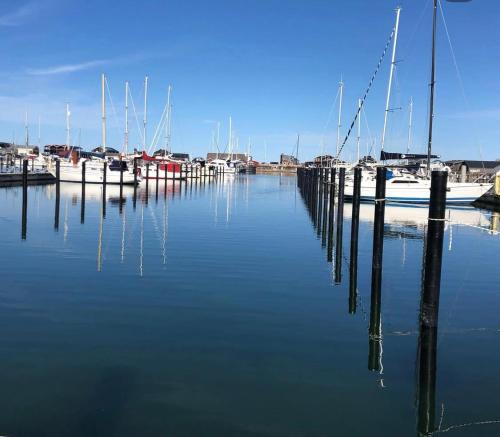 a group of boats docked at a dock in the water at Gæstehuset Rosenvang in Bogense