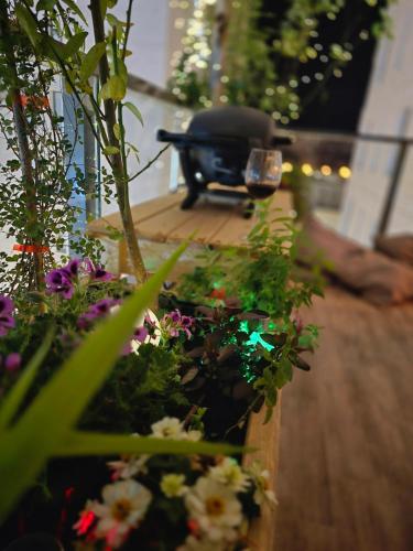 a flower garden with a wheelbarrow in the background at Nay-house in Nahariyya
