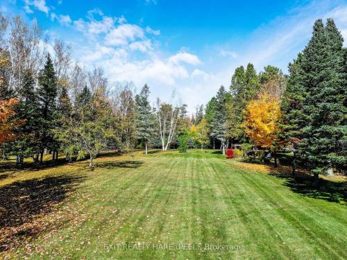 a large grass field with trees in the background at Mono Farmhouse in Caledon