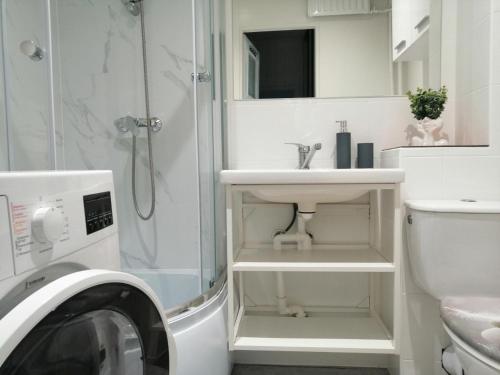 Koupelna v ubytování Apartament Mako