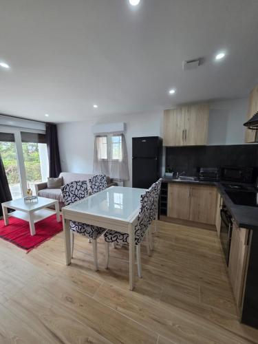 une cuisine avec une table et des chaises dans une pièce dans l'établissement ANNECY, bel appartement très cosy avec 2 chambres et une grande terrasse, à Annecy