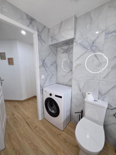 La salle de bains est pourvue de toilettes et d'un lave-linge. dans l'établissement ANNECY, bel appartement très cosy avec 2 chambres et une grande terrasse, à Annecy