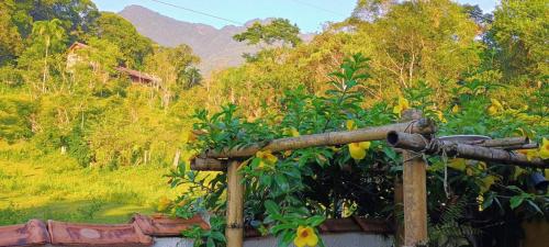 a wooden fence with a bunch of fruit on it at Casa da Flor in Morretes