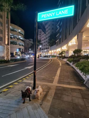 El barrio de los alrededores o un barrio cerca de este apartamento