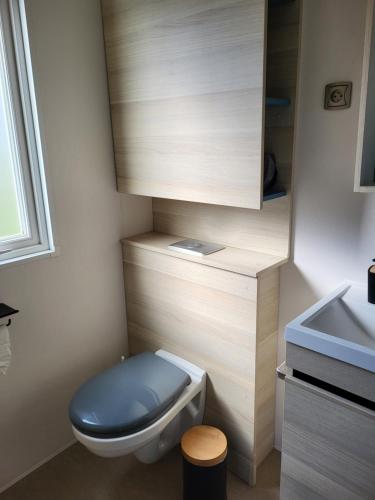 une salle de bain avec des toilettes bleues et un lavabo dans l'établissement Camping Tikayan LES CIGALES, au Muy