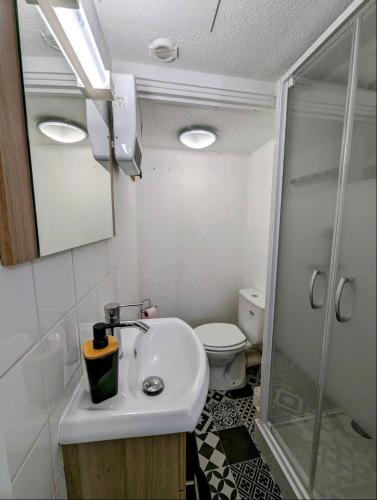 une salle de bain avec un lavabo et des toilettes dans l'établissement Le calme, à Saint-Brieuc