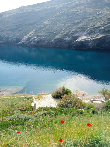 a view of a body of water with a field of flowers at Residence Sineti Beach sea view maisonette in Sinétion