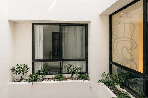 a window with potted plants on a balcony at Casa Castillo Condesa in Mexico City