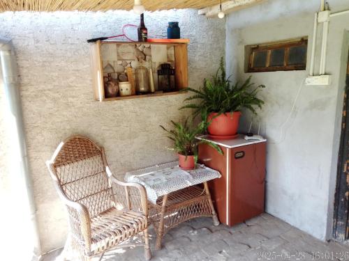 Patio nebo venkovní prostory v ubytování Rustic Haus Pivon