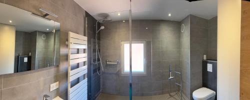 une salle de bain avec douche et toilettes et une fenêtre dans l'établissement La Maison d'Aud, à Beblenheim