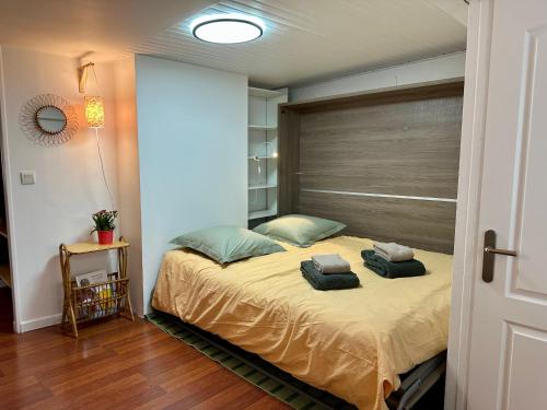 une chambre avec un lit avec deux oreillers dessus dans l'établissement La Terrasse de Bernadette, à Lourdes