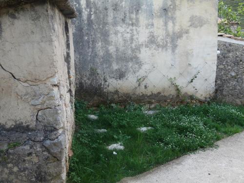 a corner of a wall with grass and weeds at Guesthouse near the Castle of Himare in Himare