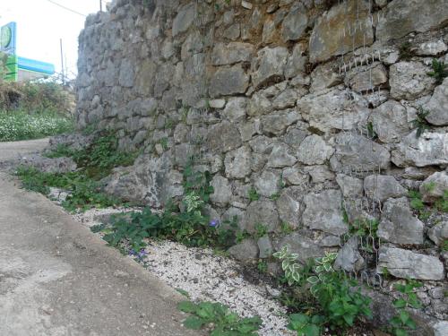 a stone wall with purple flowers next to a road at Guesthouse near the Castle of Himare in Himare