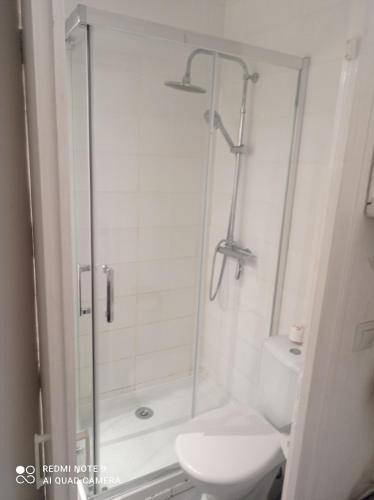 une salle de bain avec douche et toilettes dans l'établissement Petit cocon avec terrasse à 150m de l'océan, à Soulac-sur-Mer