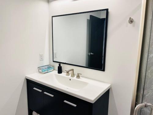 a bathroom with a sink and a large mirror at The 419 Ten-room Boutique In Sandusky in Sandusky