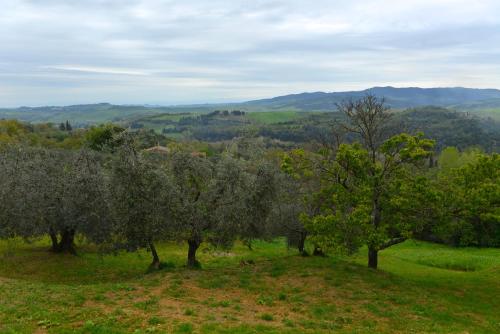 a group of trees in a field with mountains in the background at Casa Zeno in Volterra
