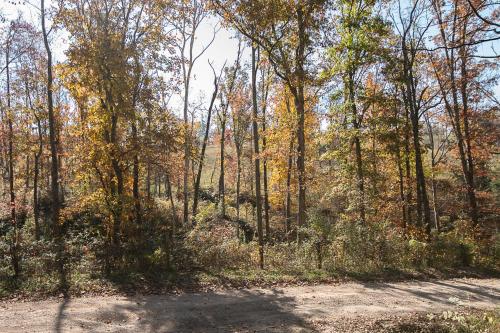 a dirt road in the middle of a forest at Oak Hollow in McArthur