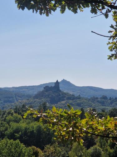 a castle on a hill in the distance at SB Sport Apartman in Salgótarján