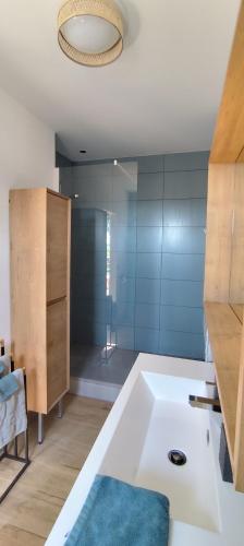 La salle de bains est pourvue d'un lavabo blanc et d'un tapis bleu. dans l'établissement Rêve Bleu, à Hautvillers-Ouville