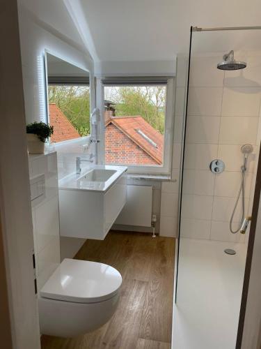 a bathroom with a toilet and a sink and a window at Ferienhof Trapp in Ellringen