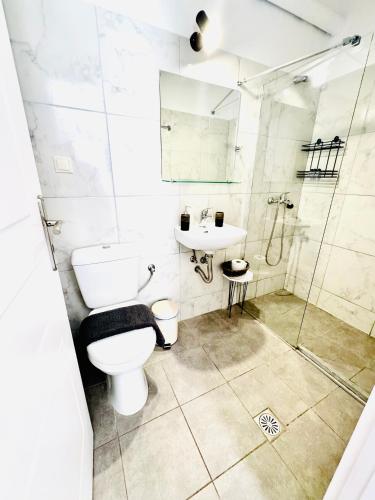 a bathroom with a toilet and a sink and a shower at Mani Spot in Areopolis