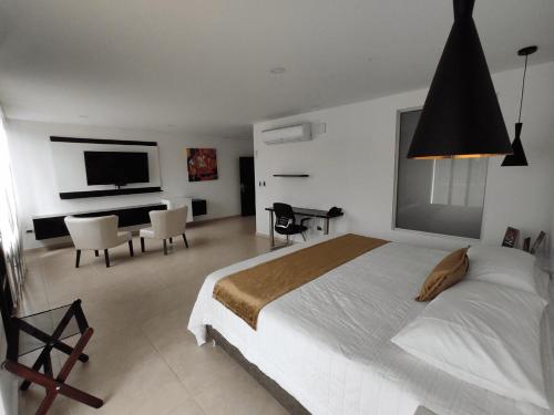a bedroom with a bed and a desk and a television at Hotel Andinos Plaza Florencia in Florencia