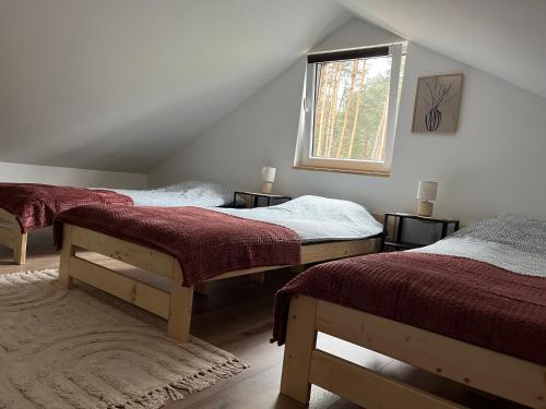 a bedroom with two beds and a window at Baza na Roztoczu - domek w Majdanie Sopockim in Majdan Sopocki