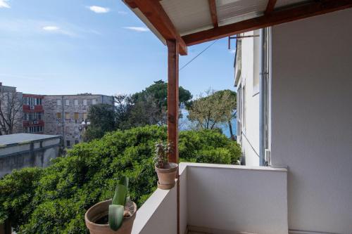 Apartment kolovare Star