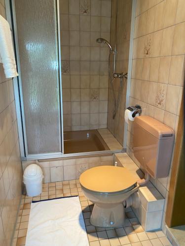 Koupelna v ubytování Hotel Rheinblick