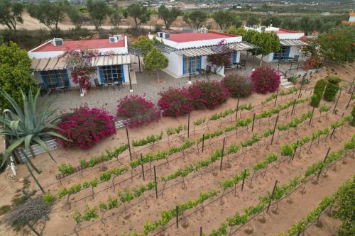 Jardín al aire libre en Santerra, Valle de Guadalupe