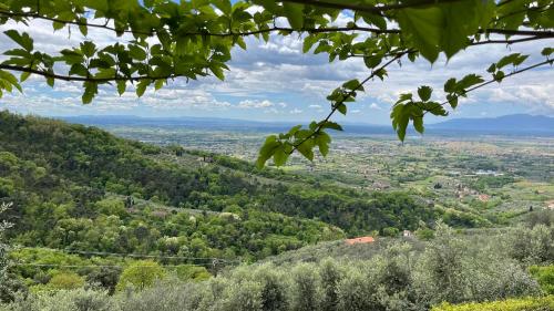 a view of a valley from a hill with trees at Podere Le Vedute in Larciano