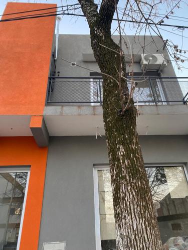 een oranje en grijs gebouw met een boom ernaast bij Monoambiente cris in Colón