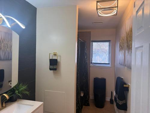 a bathroom with a sink and a mirror at Tremont Hidden Treasure in East Orange