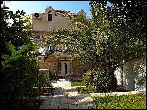 a house with a palm tree in front of it at Villa VIktoria in Petrovac na Moru