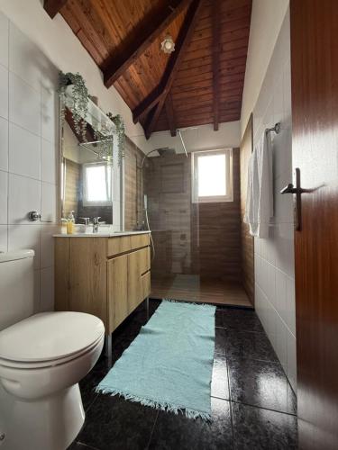 Un baño con inodoro, lavabo y ducha. en Cozy Sea View House Fajã da Ovelha, en Calheta