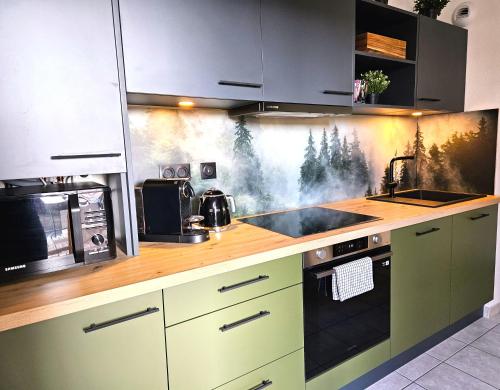 une cuisine avec des armoires vertes et un évier dans l'établissement Gîte Forestier - T2 Cosy avec Terrasse & Parking privatif -Centre ville, à Colmar