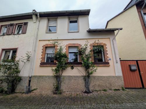 a house with two trees in front of it at Pension-Einfach Übernacht in Rüdesheim am Rhein in Rüdesheim am Rhein