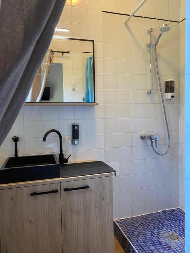 Bilik mandi di Gîte et Studios Les Barongères