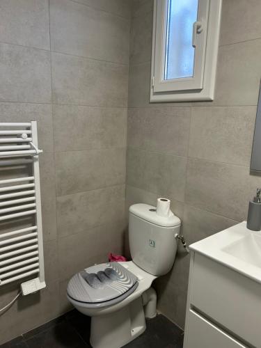 a bathroom with a toilet and a sink at Maison typique de village in Sorbo-Ocagnano