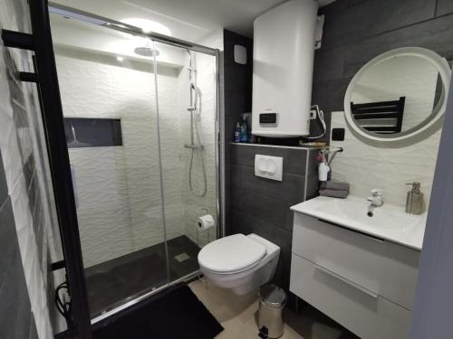 une salle de bain avec une douche, des toilettes et un lavabo dans l'établissement Appartement neuf 1 Chambre en rez de jardin avec, à Lovagny
