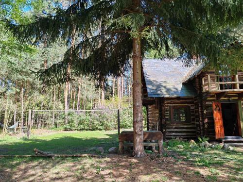 a log cabin with a bench next to a tree at Dzwonkarnia Wyjątkowy domek w lesie in Dzwonkowice