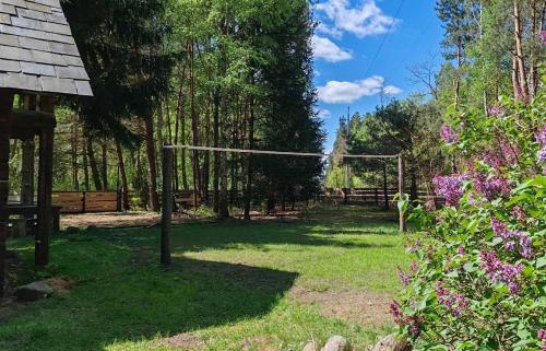 a backyard with a volleyball net in the grass at Dzwonkarnia Wyjątkowy domek w lesie in Dzwonkowice
