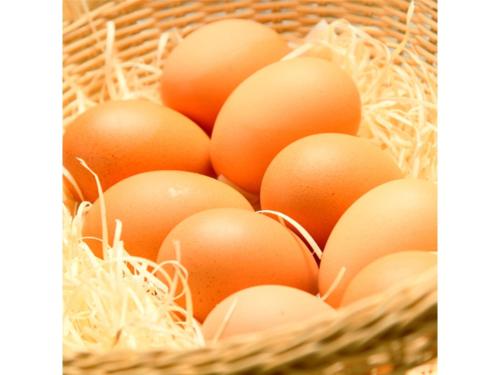 a bunch of eggs in a basket at Hotel AreaOne Chitose - Vacation STAY 99771v in Chitose