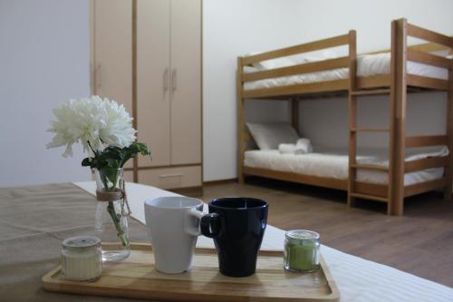 Postel nebo postele na pokoji v ubytování Ciconia Apartments