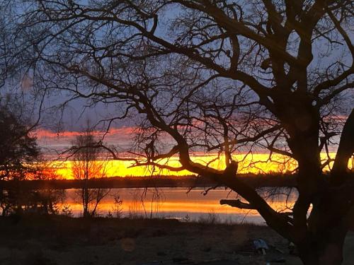a sunset over a body of water with a tree at 18th century cottage with private beach in Torsö