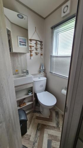 a bathroom with a white toilet and a sink at Stunning 2 bed Luxury Caravan at Hoburne Devon Bay, with Hot Tub and sea view in Paignton