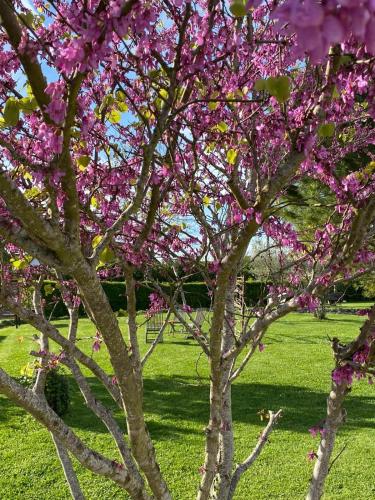 Taman di luar Gîte et Studios Les Barongères